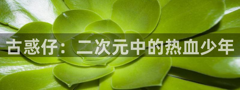 5151漫画网免费动漫入口：古惑仔：二次元中的热血少年