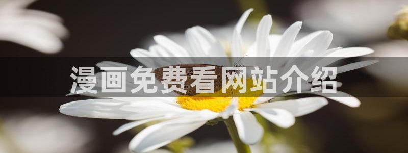 日漫51漫画免费观看：漫画免费看网站介绍