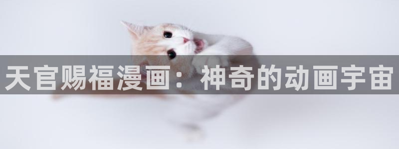 51漫画双男主网址：天官赐福漫画：神奇的动画宇宙