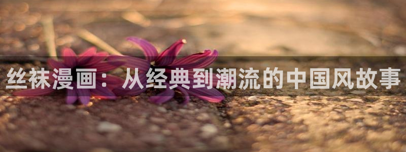 51漫画无付费漫画永久免费入口：丝袜漫画：从经典到潮流的中国风故事