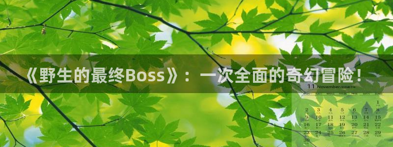 51漫画免费漫画在线观看阅读：《野生的最终Boss》：一次全面的奇幻冒险！