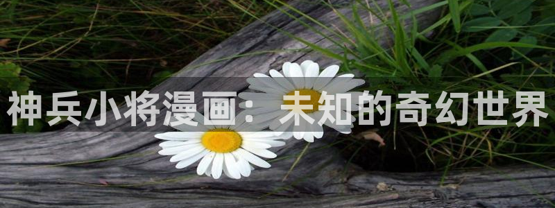 51漫画免费下拉式樱花漫画网：神兵小将漫画：未知的奇幻世界